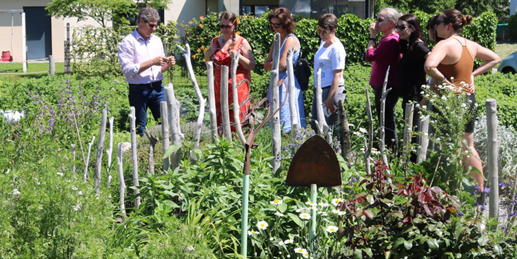 Inizio Führungen durch den Kräutergarten