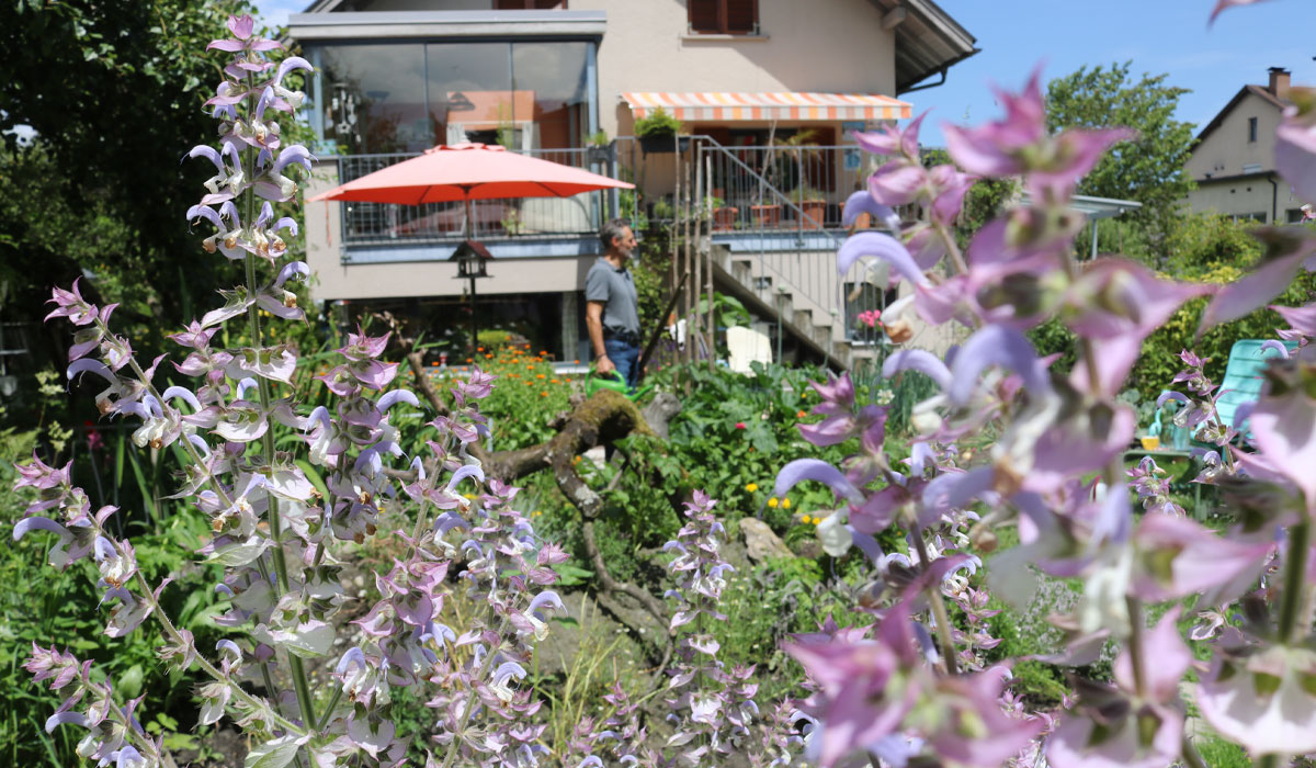 Inizio Slowflower Garten
