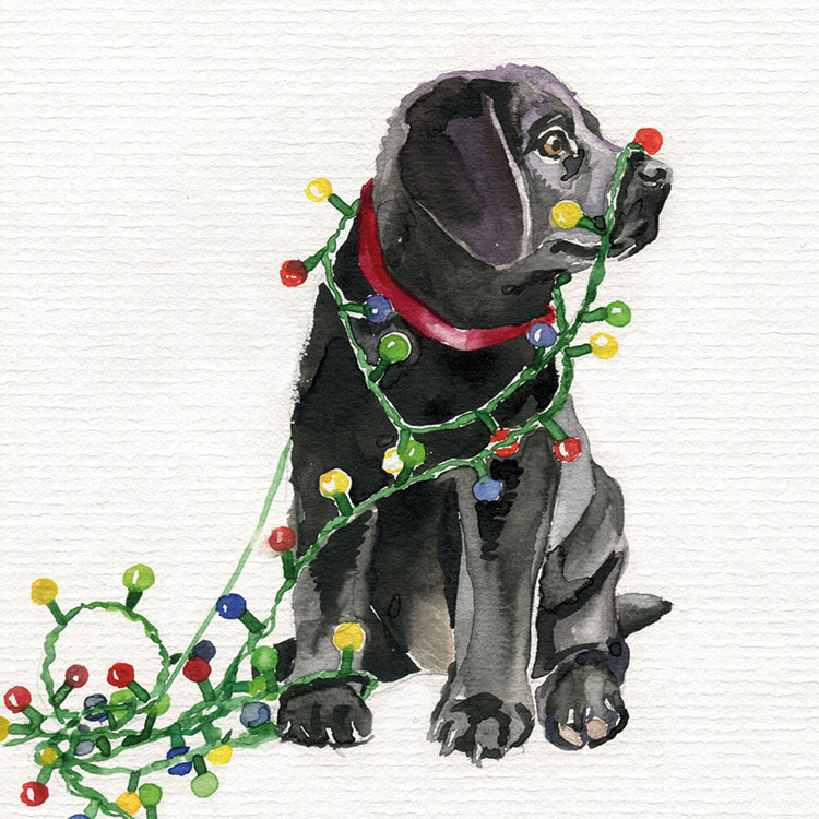 Inizio wünscht eine frohe Weihnachtszeit!