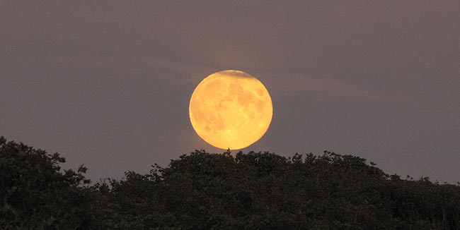 Mondkalender Vollmond