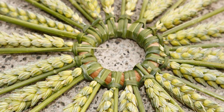 Naturdeko aus Ähren basteln Ährensonne