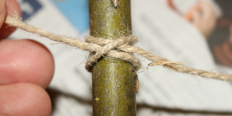 Webleinensteg