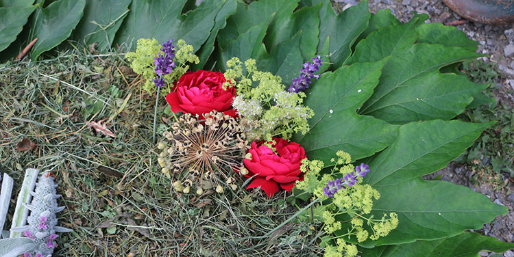 Detail Blütenteppich