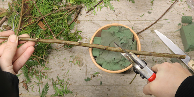 Ast als Stamm stecken