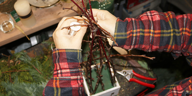 Äste zusammendrahten