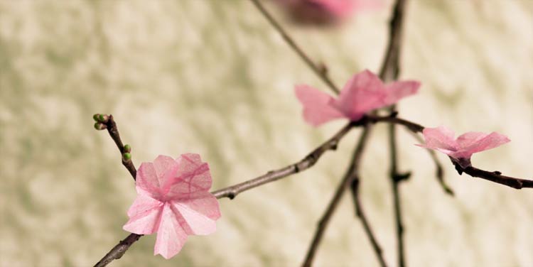 Blüte aus Seidenpapier