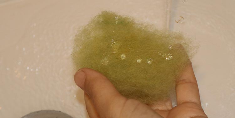 Filz mit Wasser besprenkeln