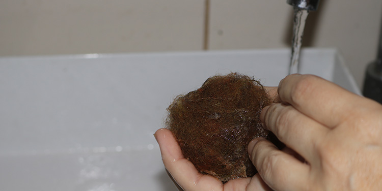 Filzkugel gleichmäßig befeuchten Filzkugel feucht machen
