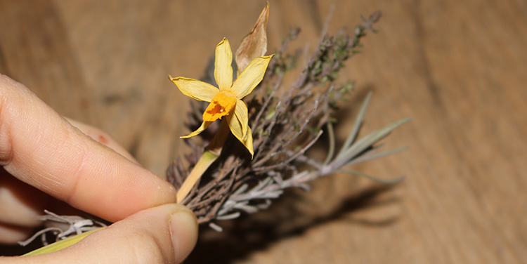 Die geschnittenen Blumen zu kleinen Sträußchen zusammenhalten. Frühlingskranz