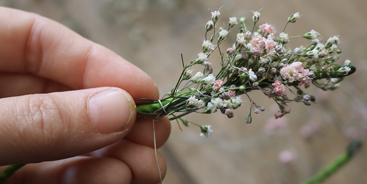 Dabei überdecken die Blüten die Stiele der Vorreihe. Schleierkraut andrahten