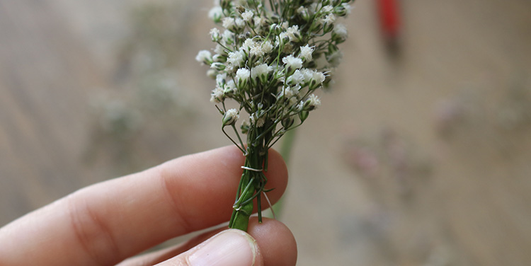 Dabei überdecken die Blüten die Stiele der Vorreihe. Schleierkraut andrahten