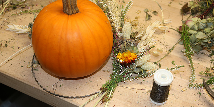 Herbstkranz zwischendurch um den Kürbis legen, um zu überprüfen, ob der Kranz passt. Herbstkranz um den Kürbis legen