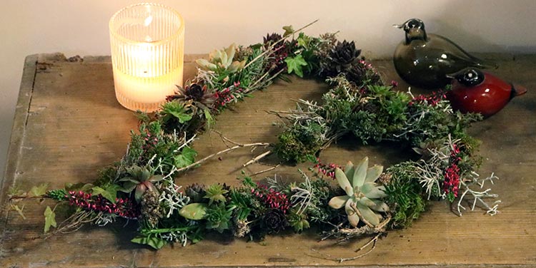 Dekoherz mit Hauswurz und Moos