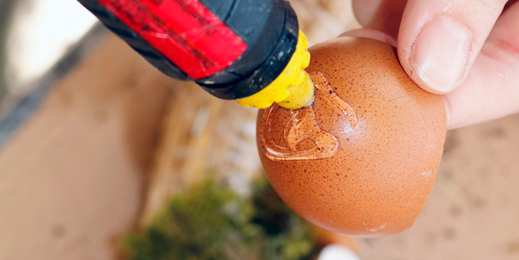 Frühlingskranz aus Eierschalen basteln Heißkleber