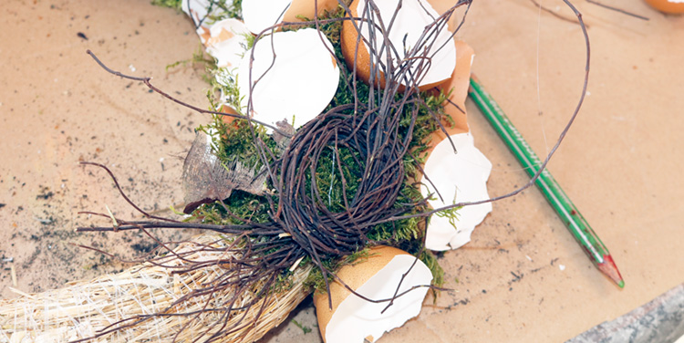 Nest aus Mühlenbeckia Zweigen Nest aus Mühlenbeckia
