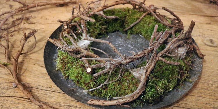 Binden Sie ganz einfach Ihren eigenen Mooskranz! Frühlingskranz Mooskranz binden