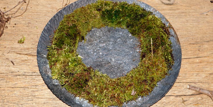Binden Sie ganz einfach Ihren eigenen Mooskranz! Frühlingskranz Mooskranz binden