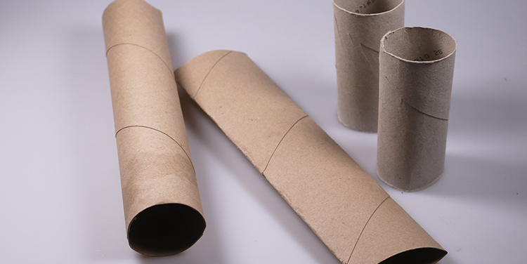 leereToilettenpapierrollen und Küchenrollen