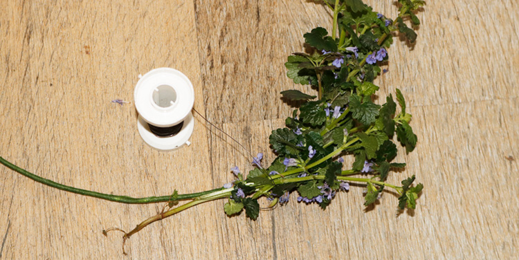 Blumenkranz für das Haar