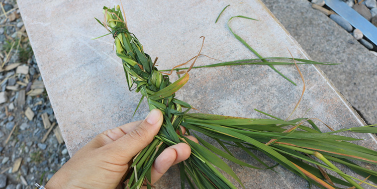 Gras zopfen Grasbüschel zopfen
