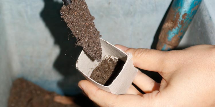 So einfach bastelt man Zerowaste Anzuchtrollen aus leeren Klopapierrollen zerowaste anzuchttöpfe aus klopapierrollen