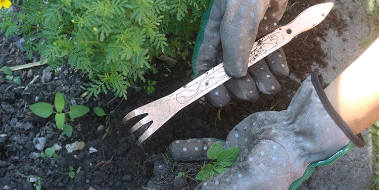 Unkraut jäten mit der Gartenkralle