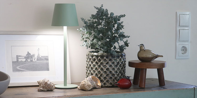 Eucalyptus Anzucht Pflege Deko