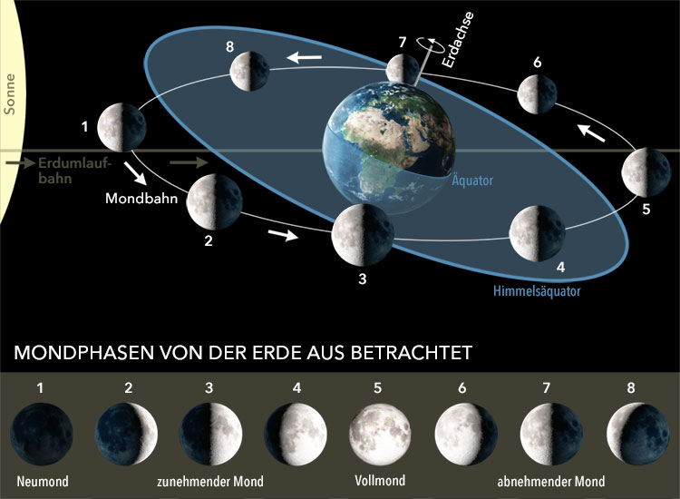 Mondphasen und Mondlaufbahn