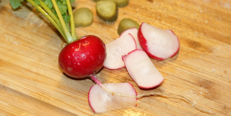 Radieschen aus dem eigenen Garten schmecken am besten! eigene Radieschen ernten