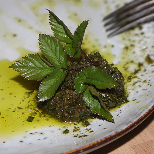 Gierschpesto selbermachen