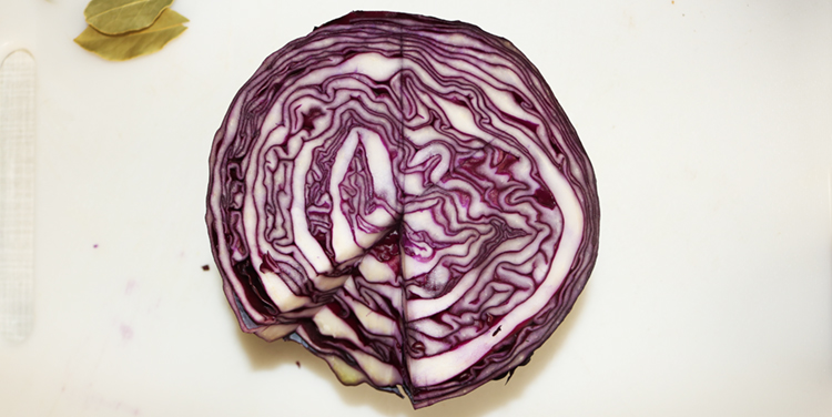 Selbstkochtes Blautkraut schmeckt einfach immer lecker. Blaukraut