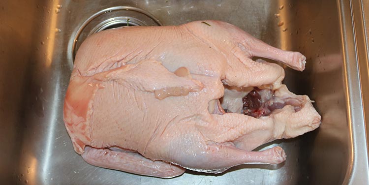 Ente waschen und trockentupfen. Ente waschen