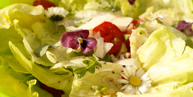 gemischter Frühlingssalat mit Wildkräuterdressing