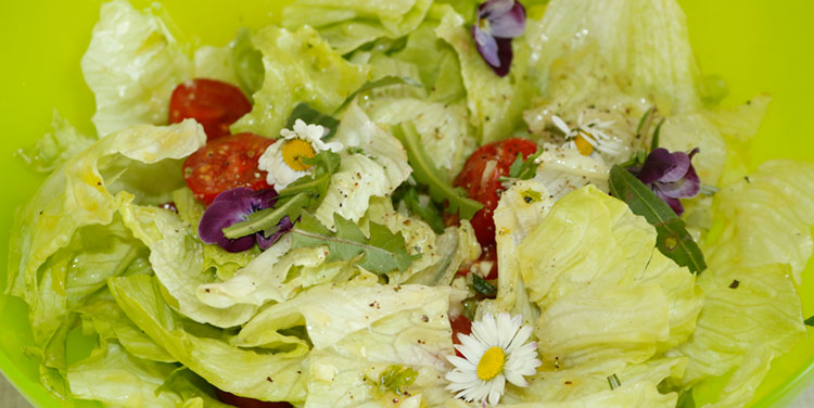 gemischter Frühlingssalat mit Wildkräuterdressing