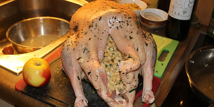 Gans mit Semmelknödel fuellen