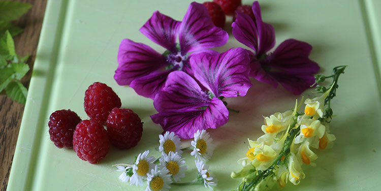 Gemischer Salat mit Huhn und Reis