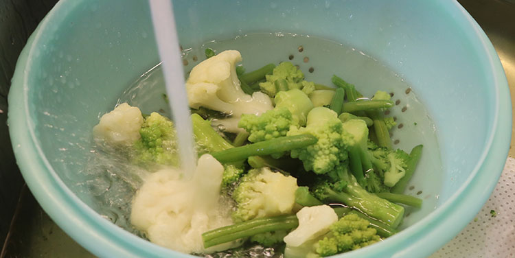 Gemischer Salat mit Huhn und Reis