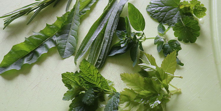 Gemischer Salat mit Huhn und Reis