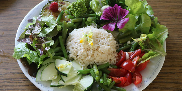 Gemischer Salat mit Huhn und Reis