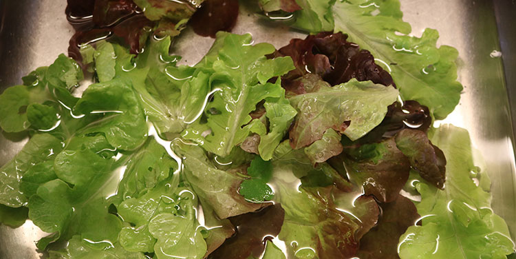 Gemischer Salat mit Huhn und Reis