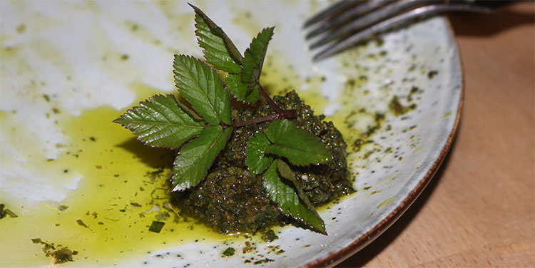 Giersch Pesto