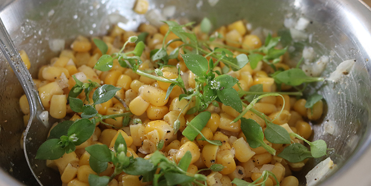 Maissalat