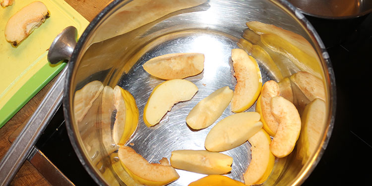 Quitten in einem Topf mit 2 Liter Wasser, Zitronensaft und etwas Zitronensäure kochen. Quitten Gelee selber machen