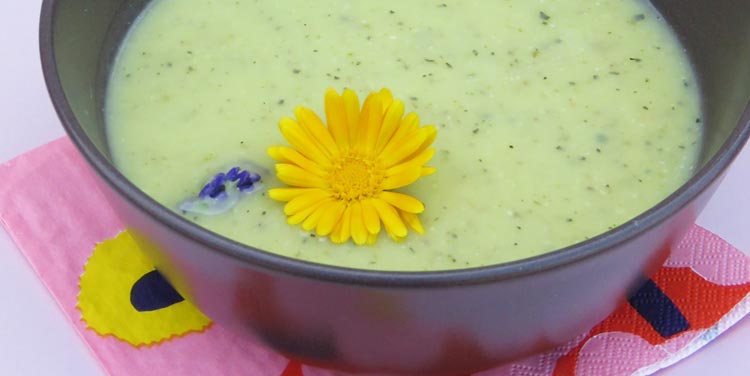 Zucchinicremesuppe Zucchinicremesuppe