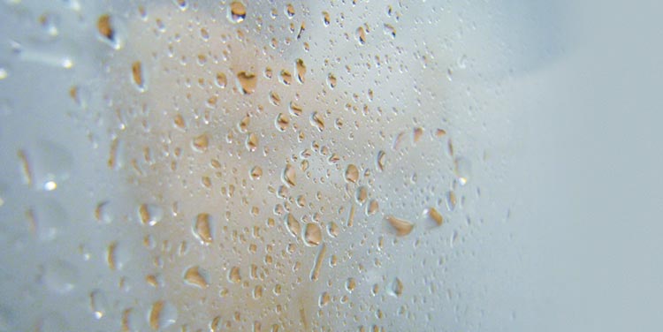 Duschen vor dem Geschlechtsverkehr Dusche vor dem Sex