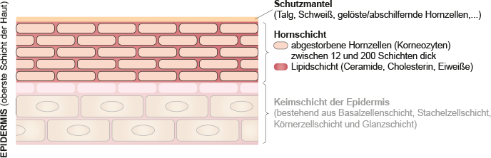 gesunde, schöne Haut mit Naturkosmetik