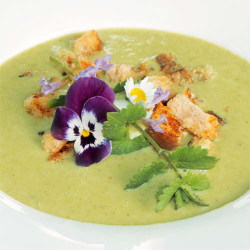 puerierte Kraeutersuppe Rezept aus Wildkraeutern