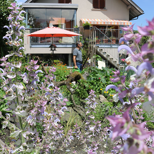 Slowflower Garten Was ist das?