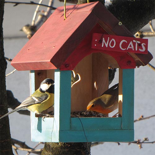 Wie sinnvoll ist das Füttern von Vögeln im eigenen Garten oder auf dem Balkon