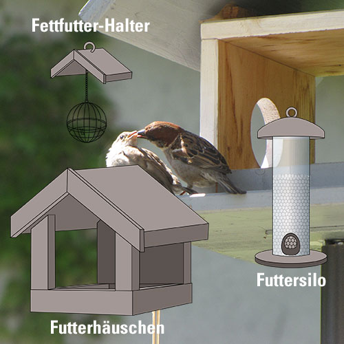 welche Vogelfutterstation ist am besten
